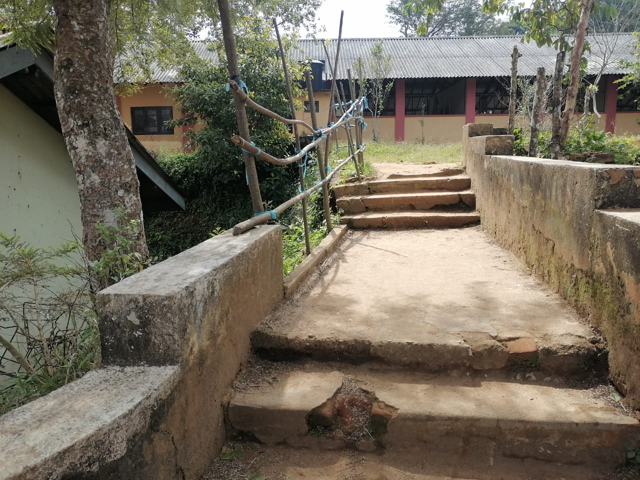 Activity Photo