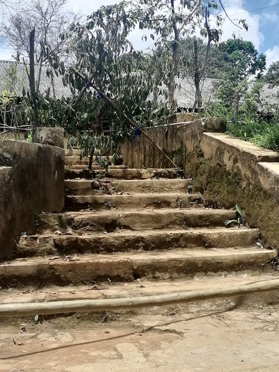 Activity Photo