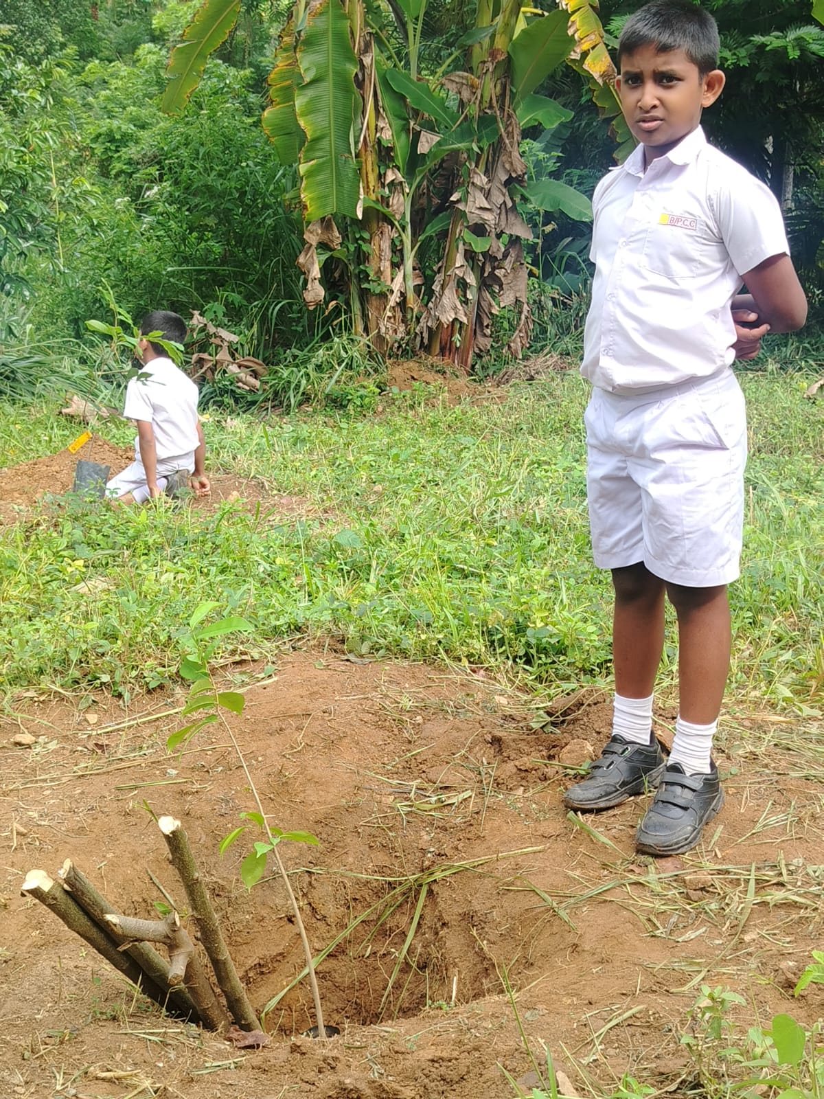 Activity Photo