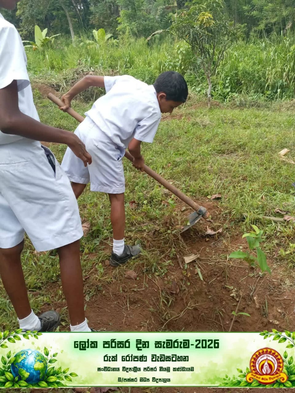 Activity Photo