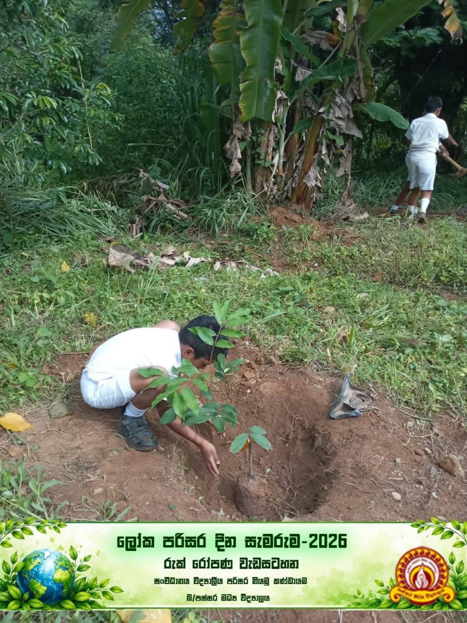 Activity Photo