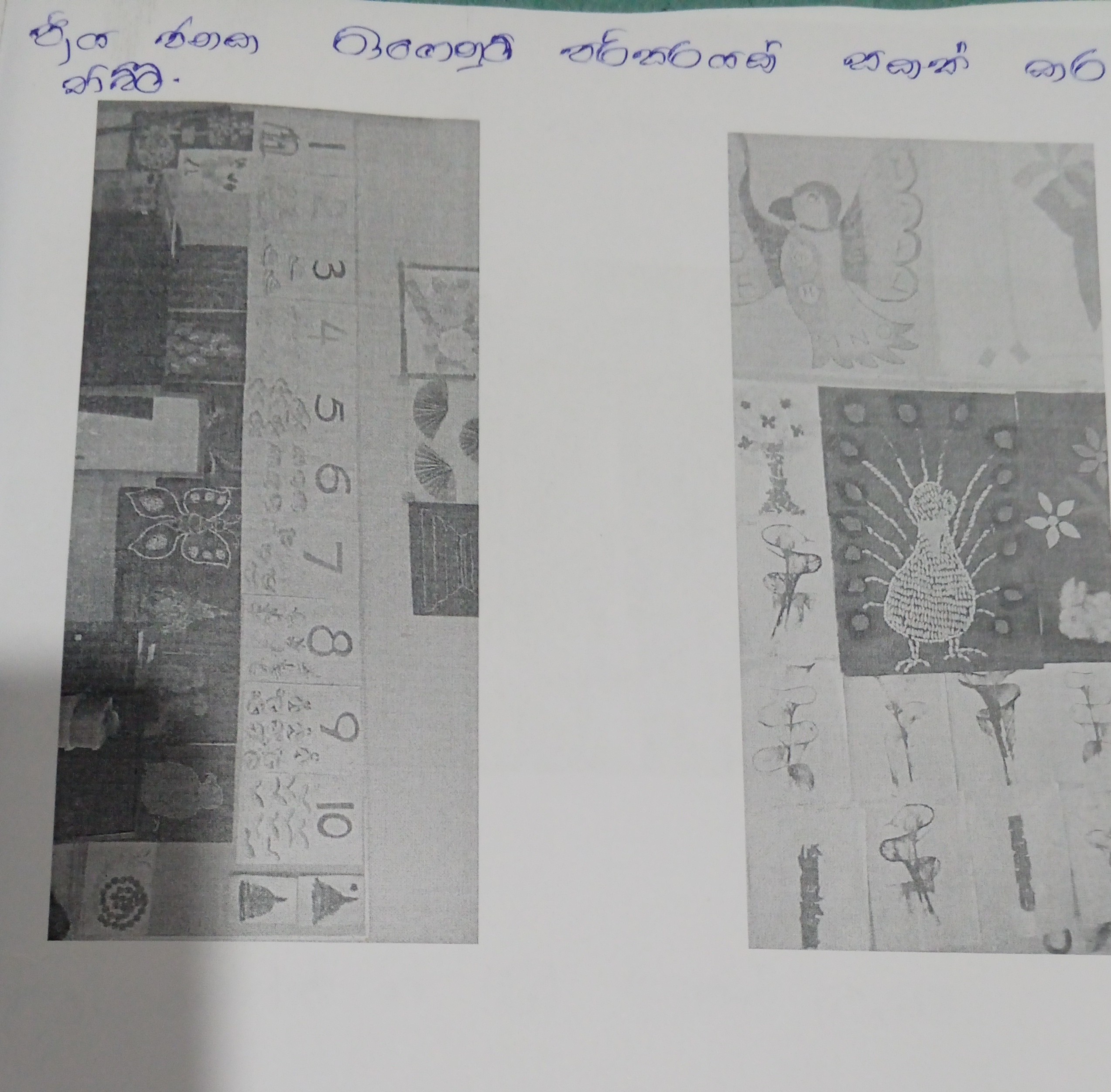 Activity Photo