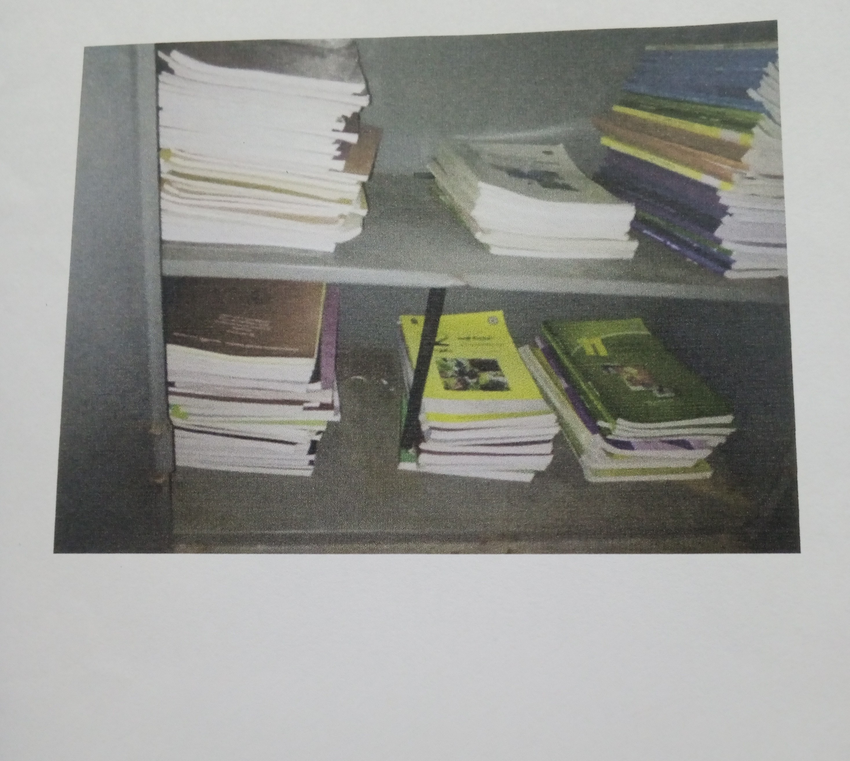Activity Photo