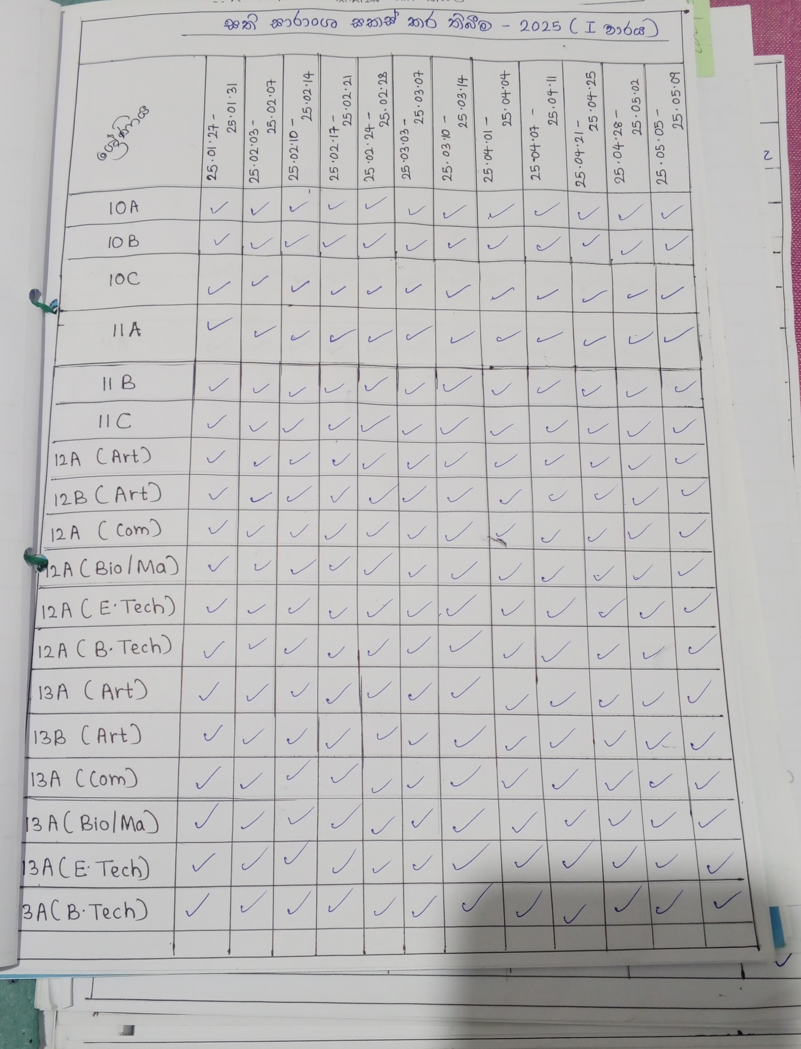 Activity Photo