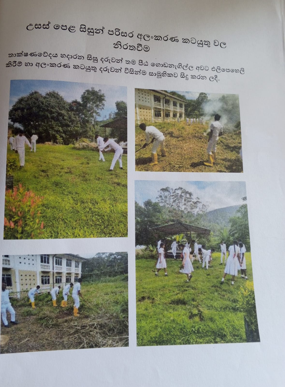 Activity Photo