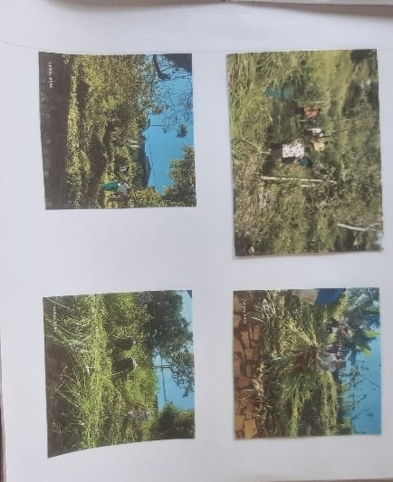 Activity Photo